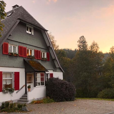 Haus Nagel Bed and Breakfast Hinterzarten Buitenkant foto